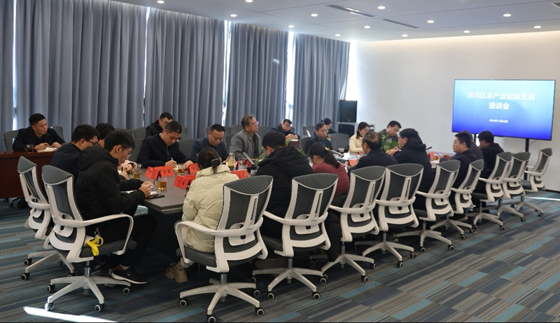 共谋千亿愿景！浉河区茶产业创新发展座谈会在大别山实验室举行