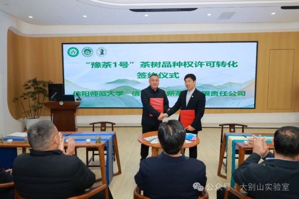 “豫茶1号”国家级茶树新品种登记发布