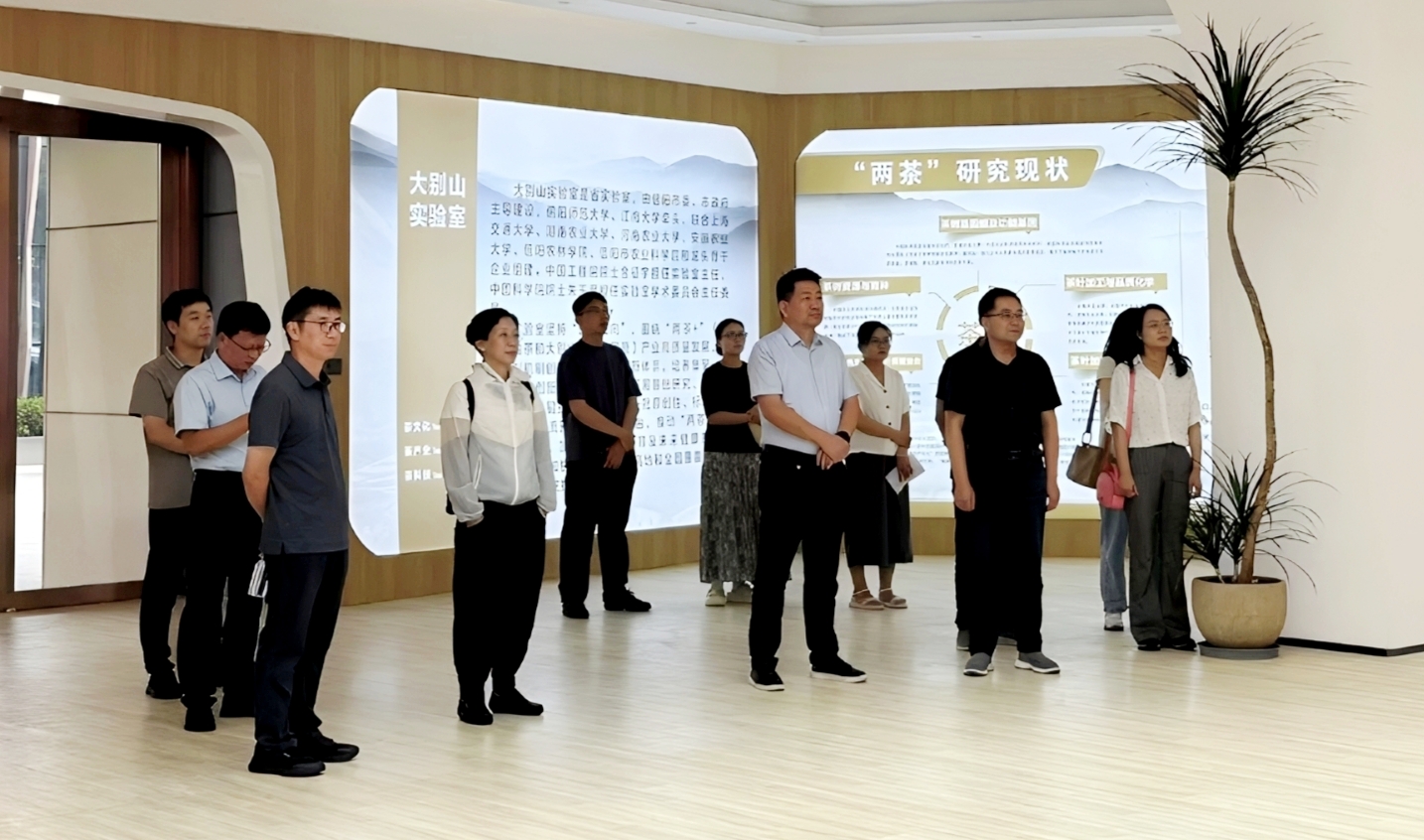 中国农业科学院茶叶研究所王新超研究员一行到大别山实验室调研