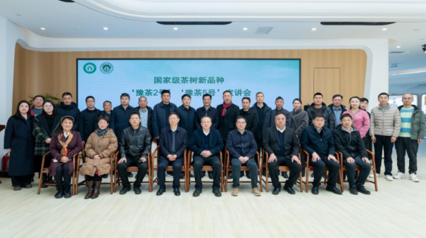 大别山实验室举办国家级茶树新品种宣讲会
