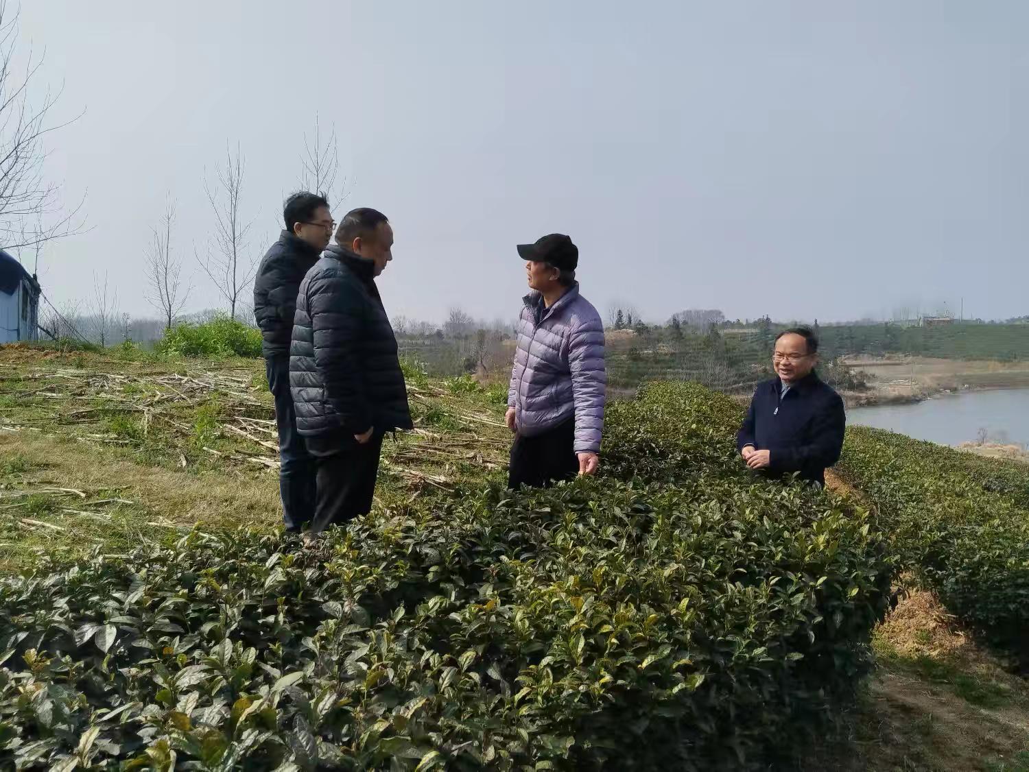 科技赋能特色农业产业发展