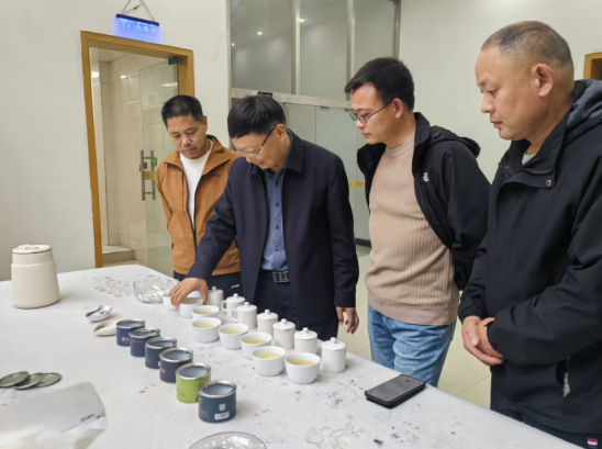 大别山实验室副主任郭桂义教授深入茶企开展春茶生产技术指导
