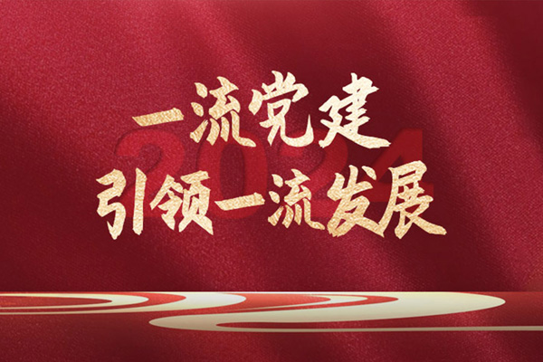 一流党建引领一流发展